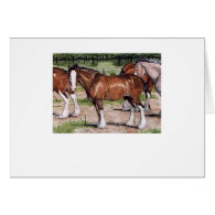 Clydesdales Rule Horse Art Cards