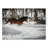 Clydesdale's Snowy Run card