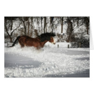 Clydesdale's Snowy Run Greeting Cards