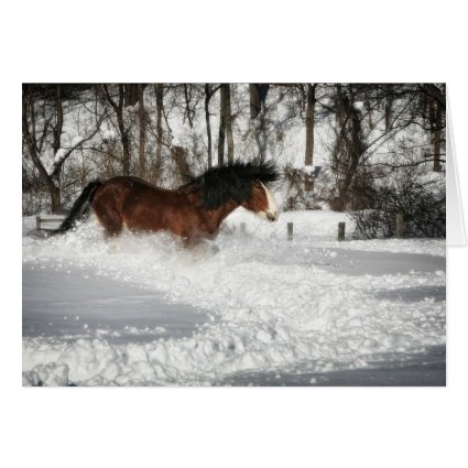 Clydesdale's Snowy Run Greeting Cards