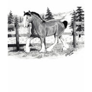 Clyesdale in pastureT-Shirt shirt