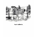 Clyesdale T-Shirt by kmullarney Clyesdale T-Shirt