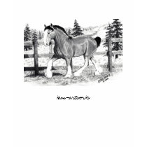 Clyesdale T-Shirt by kmullarney Clyesdale T-Shirt