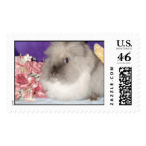 CM's Cappuccino postage by kougra321 CM's Cappuccino postage