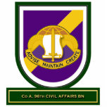 Co A, 96th Civil Affairs Battalion flash Photo Cutout