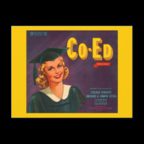 Co Ed Brand Oranges Vintage Advertisement postcards