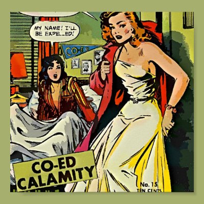 Co Ed Calamity Print Zazzle_print Co Ed Calamity Print Zazzle_print