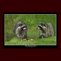 "CO-OPERATION" Photo Print Poster by RavenSpiritPrints "CO-OPERATION" Photo Print Poster