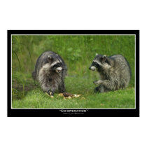 "CO-OPERATION" Photo Print Poster