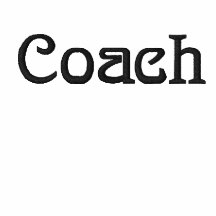 Coach Baseball  Embroidered ladies