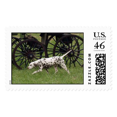 Coaching Dalmatian Postage