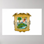 Coahuila, Mexico flag Poster