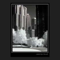 Coal Harbour #16 posters