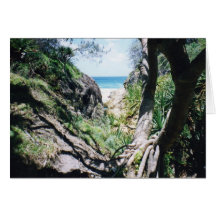 Coast Card