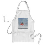 Coast Guard Helicopter aprons