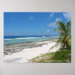 Coast of Huahine Poster