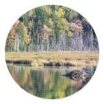 Coast Of Maine 18