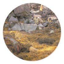 Coast Of Maine 2 stickers by nmpics Coast Of Maine 2 stickers