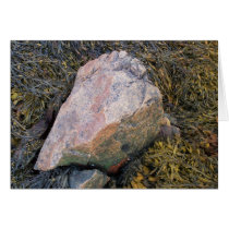 Coast Of Maine 3 cards