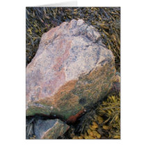 Coast Of Maine 3 cards