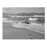 Coast Postcard