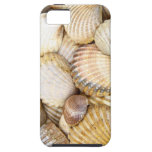 Coastal Beach Shore Summer Sea Shells casemate cases