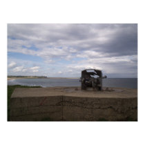 Coastal Defense posters
