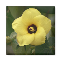 Coastal flower. magnets