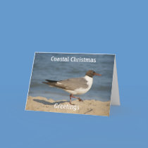 Coastal Greetings cards