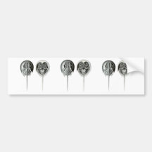 Coastal Horseshoe Crab Bumper Stickers
