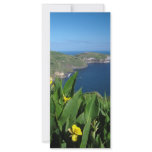 Coastal landscape rack card template