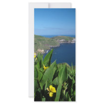Coastal landscape rack card template