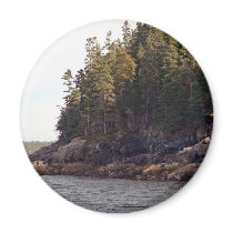 Coastal Pines Refrigerator Magnets