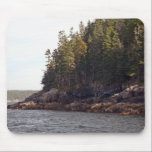 Coastal Pines