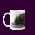 Coastal Pines
