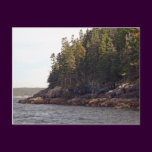 Coastal Pines