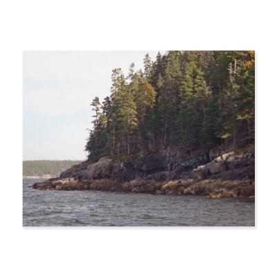 Coastal Pines Post Cards by FNolan