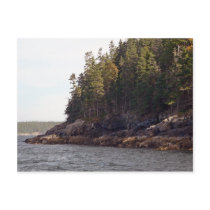 Coastal Pines postcards