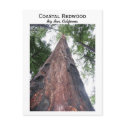 Coastal Redwood - Big Sur, California postcards by colinbowman Coastal Redwood - Big Sur, California postcards