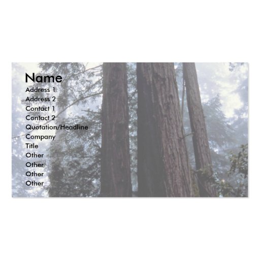 Coastal Redwoods, Lady Bird Johnson Grove, Califor Business Card Templates
