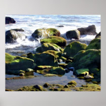 Coastal Tidepools Print