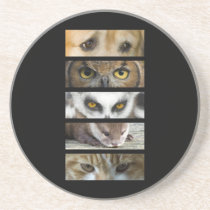 Coaster - Animals Eyes