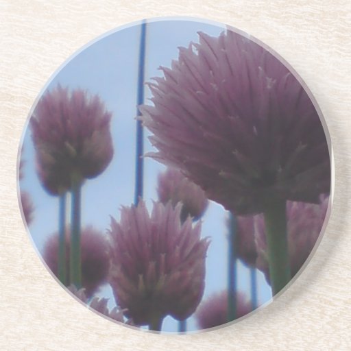 Coaster - Chives    Image 1