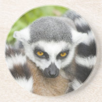 Coaster - Cute Lemur Stripey Tail