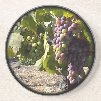 Coaster: Fruit of the Vine coaster