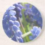 Coaster - Grape Hyacinth