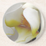 Coaster - Orchid