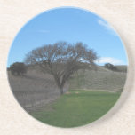 Coaster: Paso Robles, CA Wine Country coasters