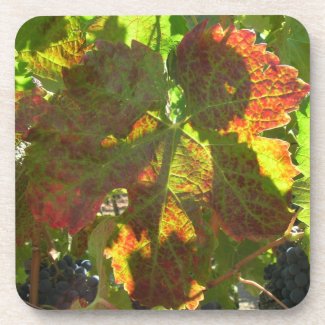 Coaster set - Grape leaf