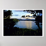 Coastline, Bay Of Islands, North Island Poster